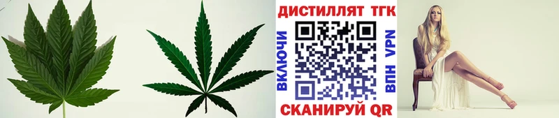 наркота  Пугачёв  Дистиллят ТГК THC oil 