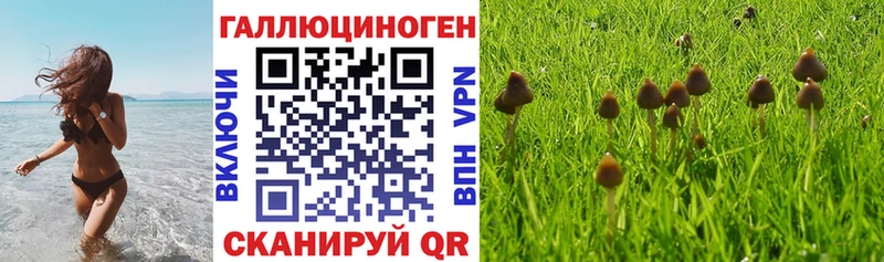 Псилоцибиновые грибы Magic Shrooms Пугачёв